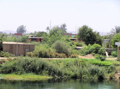 Edfu station through the trees, June 2010
